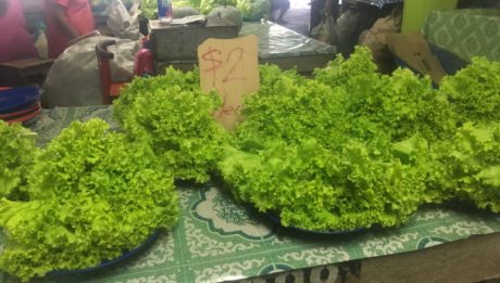 So unglaublich grüner Salat auf dem Obst- und Gemüsemarkt in Fidschi