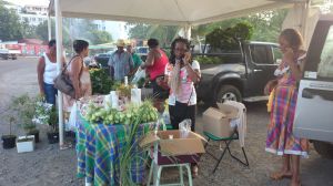 Einkauf auf dem lokalen Obst- und Gemüsemarkt