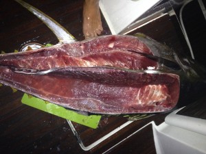 Fillets von einem Yellowfin Tuna an Bord der hapa na sasa