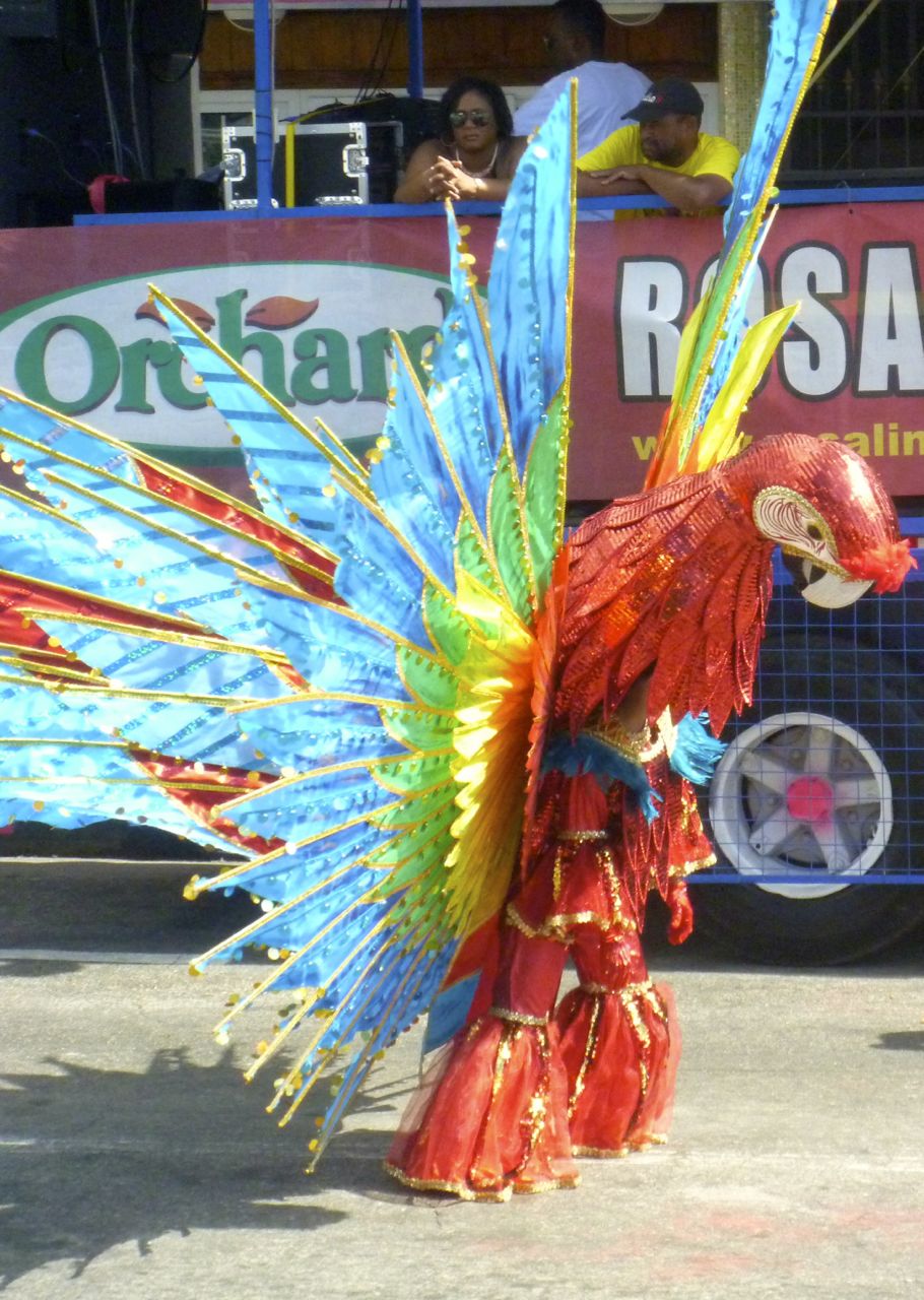 Ein Papagei mit bunt geschmückten Federn schmückt die Grande Parade in Trinidad