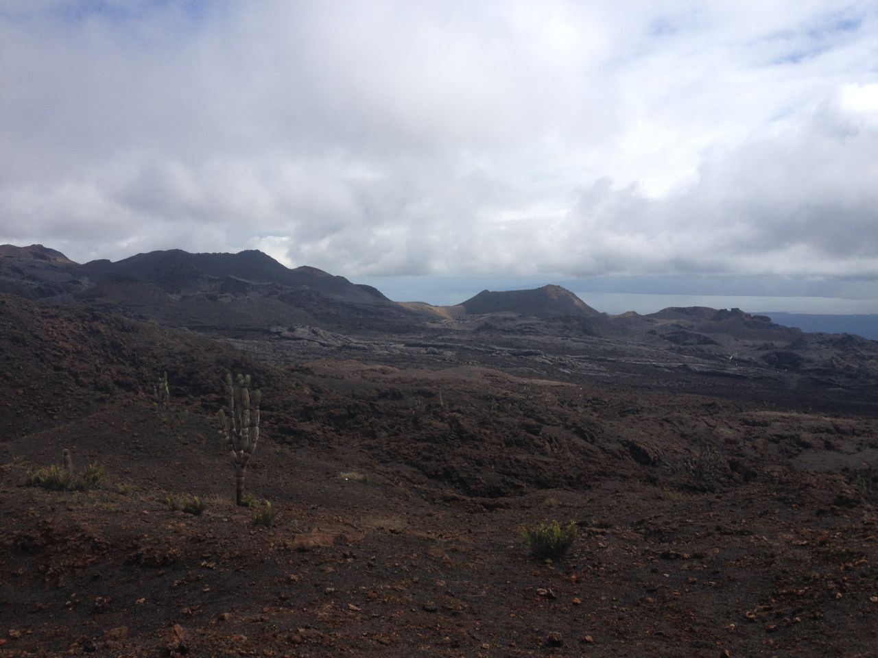 Hier wälzte sich der Lavastrom vom Vulkan Sierra Negra den Berg hinunter