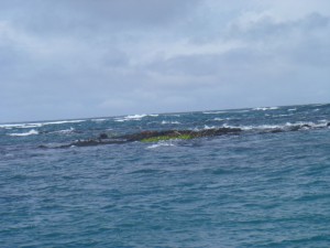 Die Anfahrt zu den Lavatunneln auf Isabella Galapagos