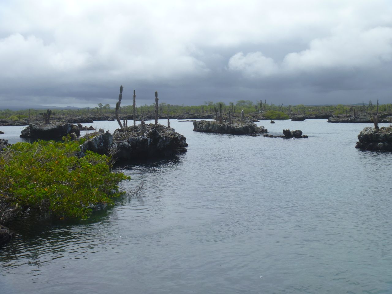 Bizarre Landschaft in den Lavatunneln auf Isabella Galapagos