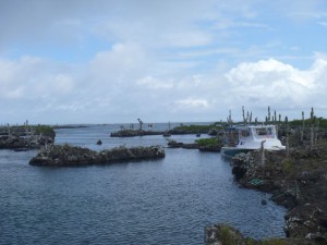 Mit dem Boot an Lavainseln fest gemacht auf Isabella Galapagos