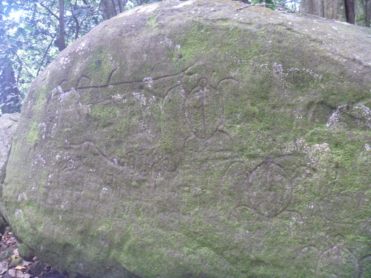 Schildkröte und Mahi Mahi in einen Stein geritzt auf Nuku Hiva