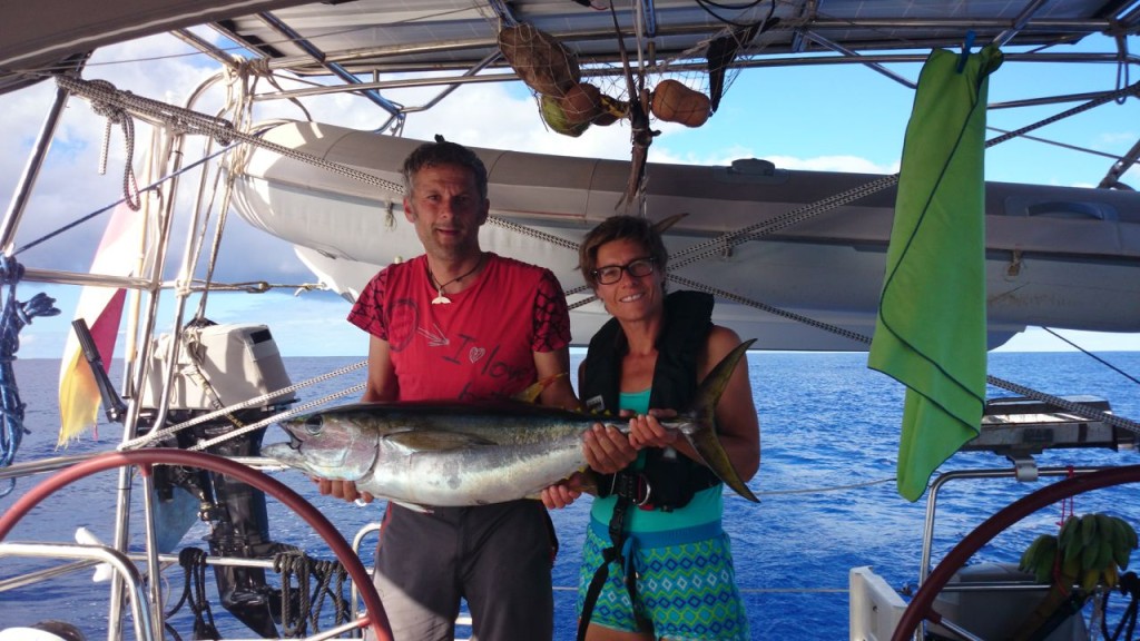Ein 1 m Yellowfin Tuna kurz nach dem Fight
