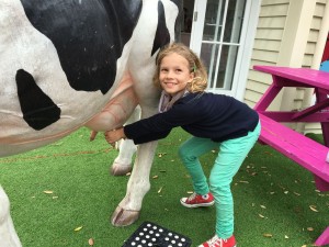 Freudiges Melken einer Kuh in Auckland.