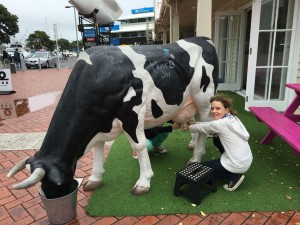 Ein kurzer Stop bei den Tieren in Auckland.