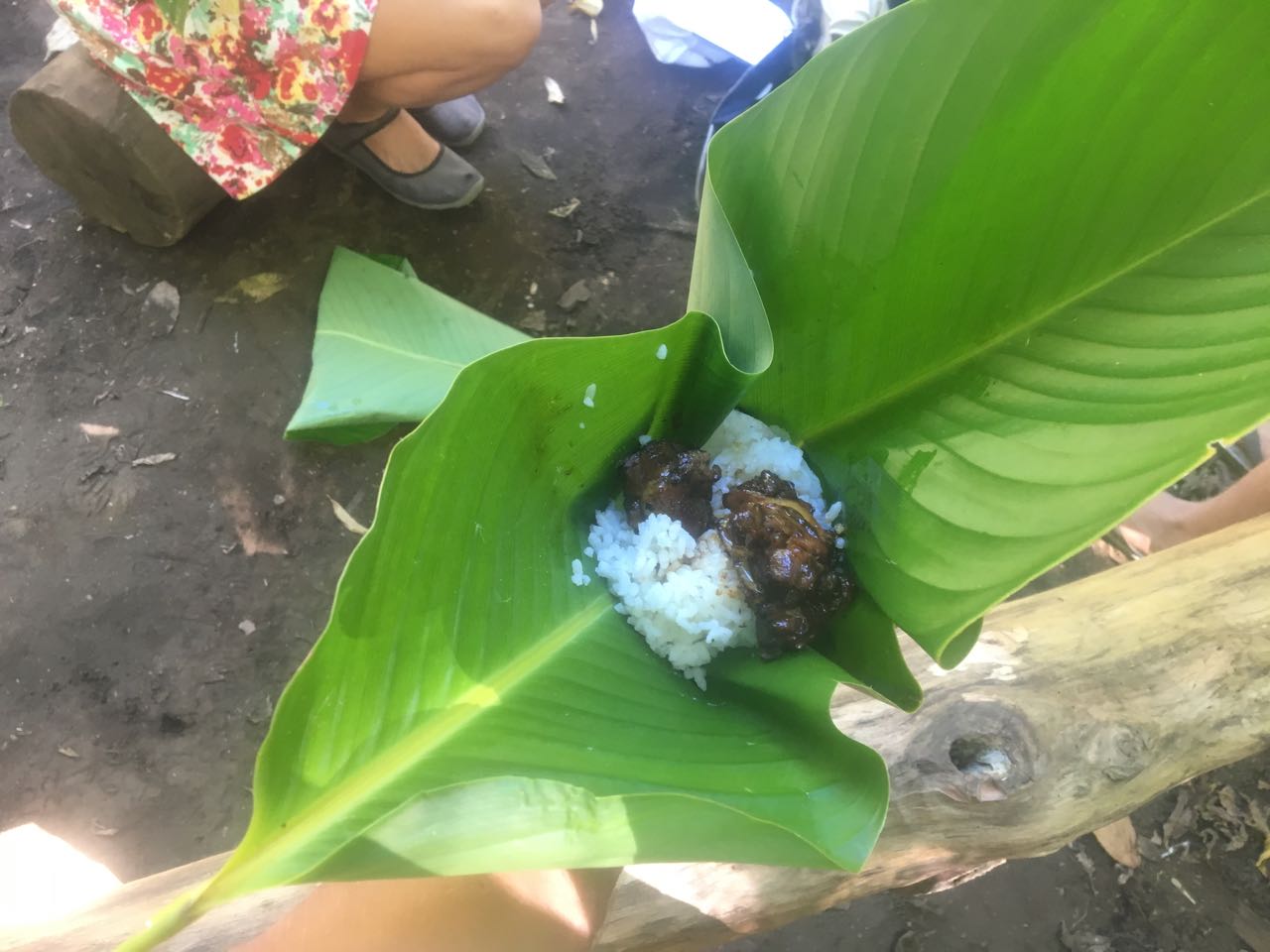 Lecker Schweinefleisch mit Reis serviert in einem Blatt
