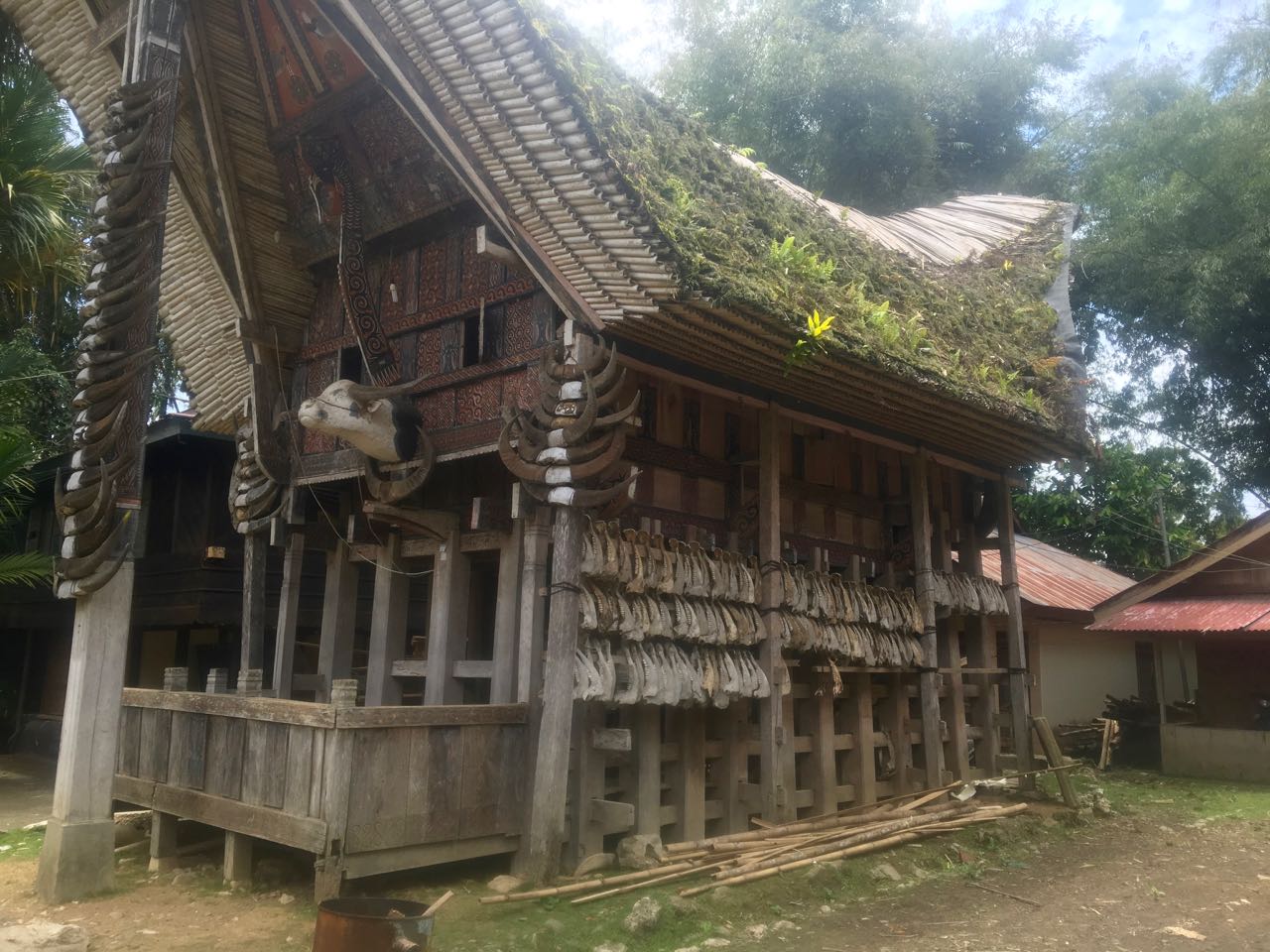 An den traditionellen Häusern werden in Tana Toraja Indonesien die Hörner der geopferten Büffel befestigt