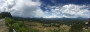 Terrassierte Reisfelder in Tana Toraja